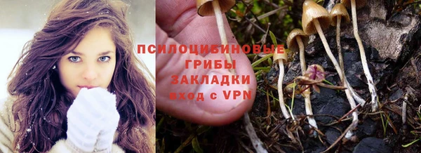 герыч Абаза