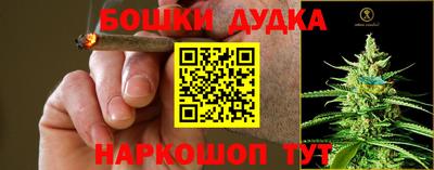 хмурый Кингисепп