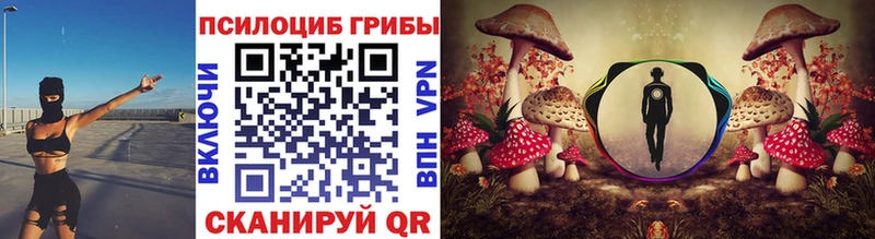 сколько стоит  Ипатово  Галлюциногенные грибы MAGIC MUSHROOMS 