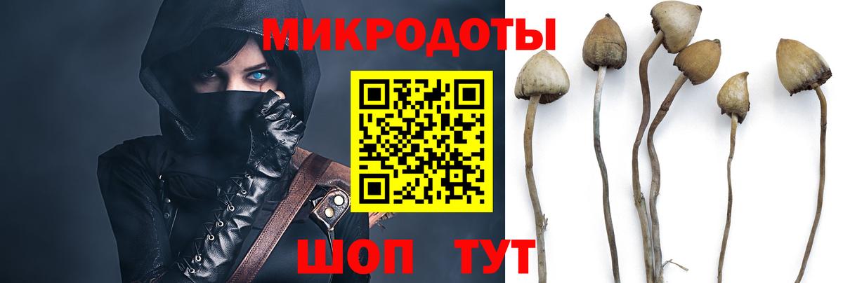 Галлюциногенные грибы ЛСД Ипатово