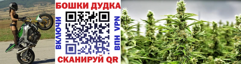 Бошки Шишки MAZAR Ипатово